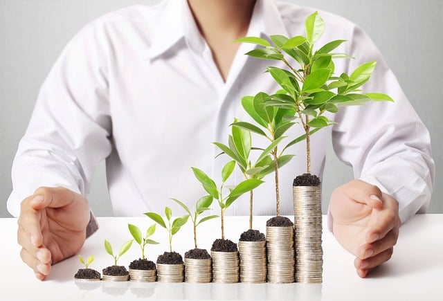 economía y finanzas
