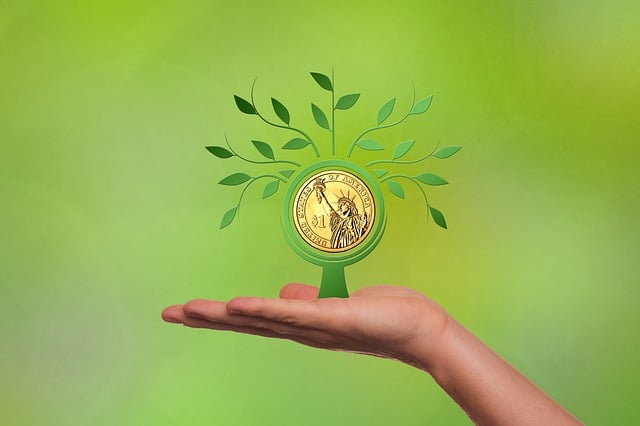 economía financiera y actuarial